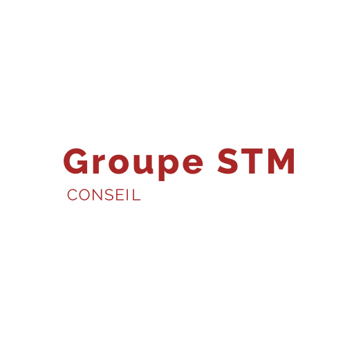 Groupe STM Conseil et Associés logo