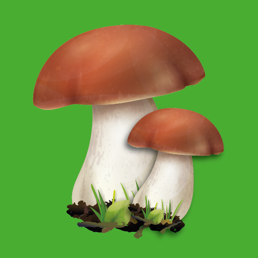 Edible mushroom  Icon
