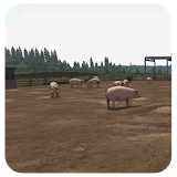 Farming Animals Stocking Feed Farming Simulator icon