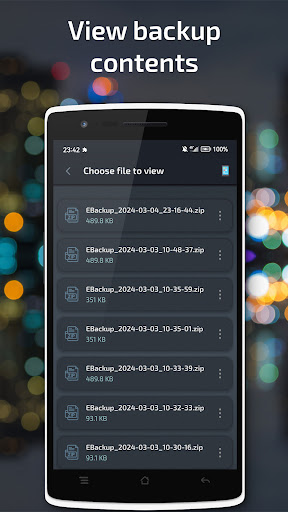 Essential Backup Screen 3