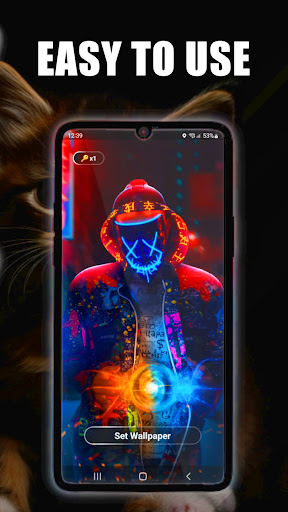 Kittens Live Wallpaper Screen 3