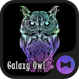 Owl Wallpaper Galaxy icon