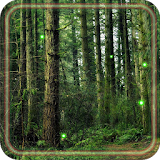 Forest Gallery LWP icon