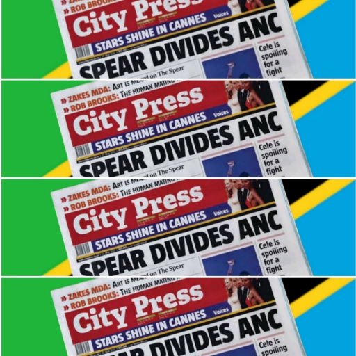 Tanzanian Newspapers