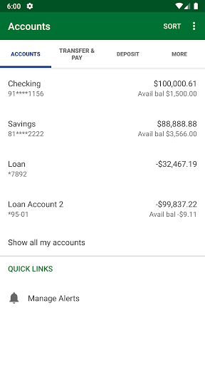 Bayou Federal Credit Union Screen 3