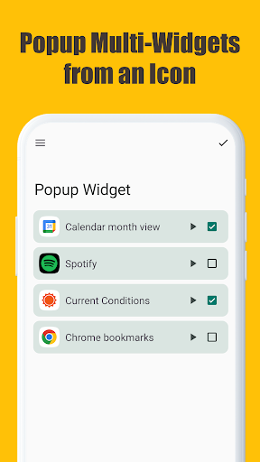 Screenshot of Popup Widget