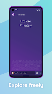 Screenshot des Tor-Browsers