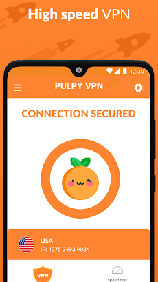 Pulpy VPN - Secure VPN Proxyのおすすめ画像1
