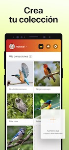 Picture Bird – Reconocer Aves APK/MOD 6