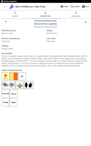Screenshot of Idaho Wildflowers