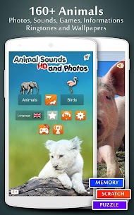 Animal Sounds  Apps For Pc – How To Download in Windows/Mac. 1