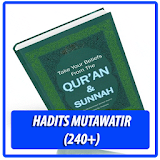 Hadits Mutawatir (300+ Hadits) icon