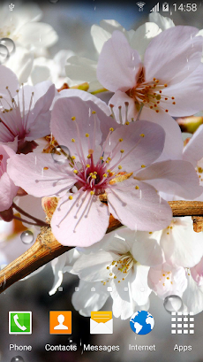 Cherry Blossom Live Wallpaperのおすすめ画像5