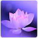 Lotus Flower Live Wallpaper - Androidアプリ