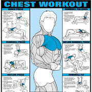All Chest Exercises