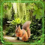 Cover Image of Baixar Summer Forest Nature  APK