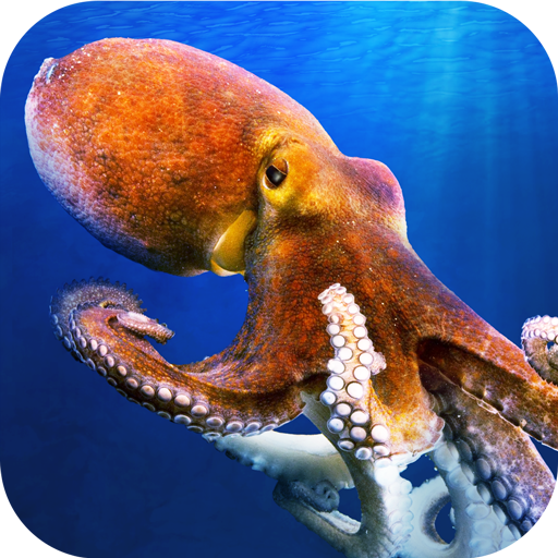 Octopus Underwater Simulator - 1.0 Icon