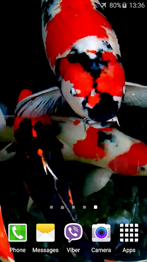 Android application Koi Video Live Wallpaper screenshort