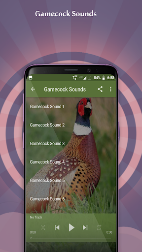 Gamecock Sounds Screen 2
