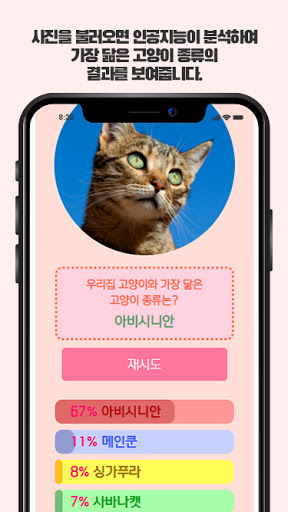 고양이 종류 Screen 3