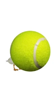 Tennis Duck The Game