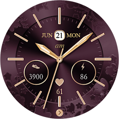 Icon image