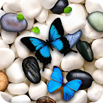 Cover Image of Download Butterfly Wallpaper  APK