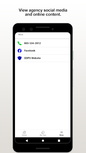 Orangeburg DPS Screen 3