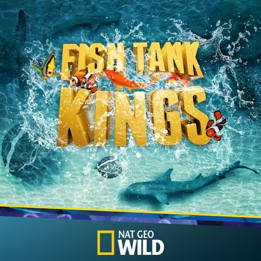 Fish Tank Kings: Сезон 2 - Серіали в Google Play.