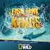 Fish Tank Kings Season 3