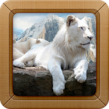 White Lion Wallpapers Picture icon