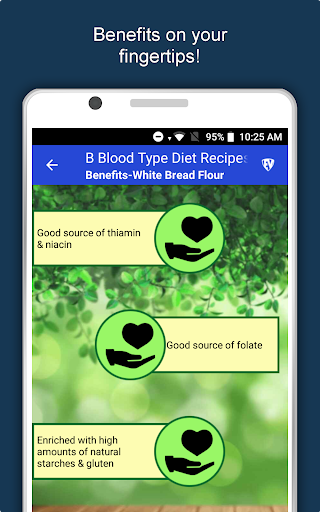 Screenshot of B Blood Type Recipes Diet Plan