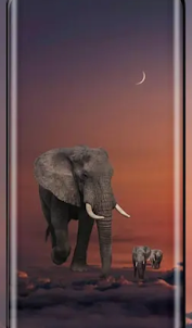 Elephant Calling Game
