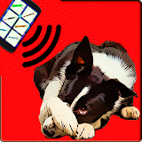 Ultrasound for Dogs Joke icon