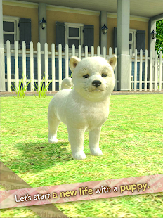 with My DOG 1.0.7 APK screenshots 17