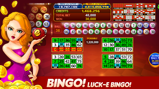 Luck'e Bingo : Video Bingo 18