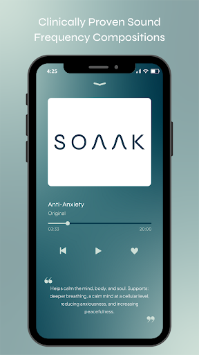Screenshot of Soaak