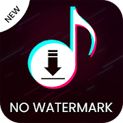 TikTok Video Downloader - No Watermark