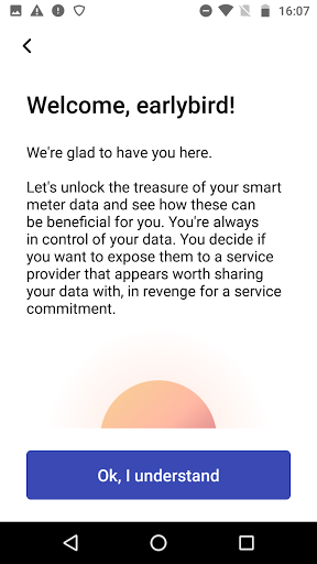 Smartbirds Screen 2