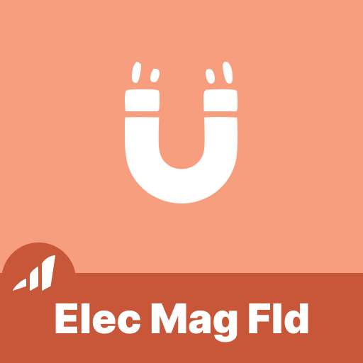 Electromagnetic Fields