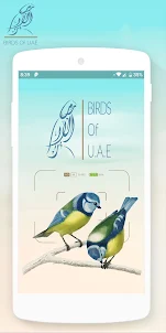 Birds Of UAE