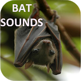 Bat Sounds icon