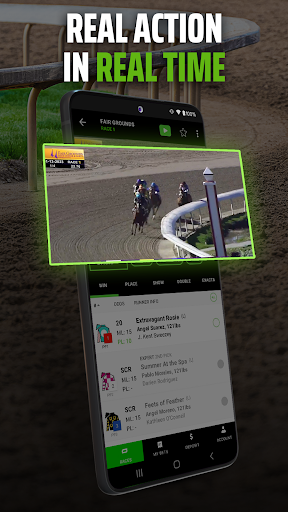 DK Horse Racing and Betting