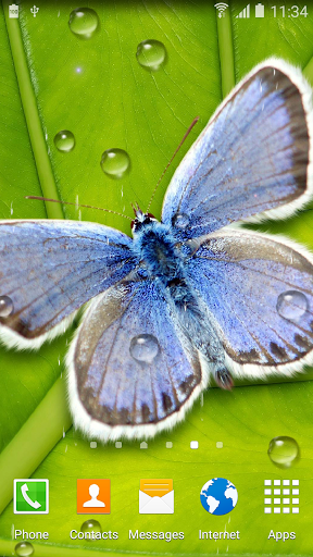 Rainy Live Wallpaper Screen 2