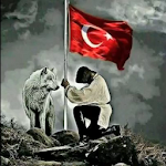 Cover Image of Download Türkçü Zil Sesleri  APK