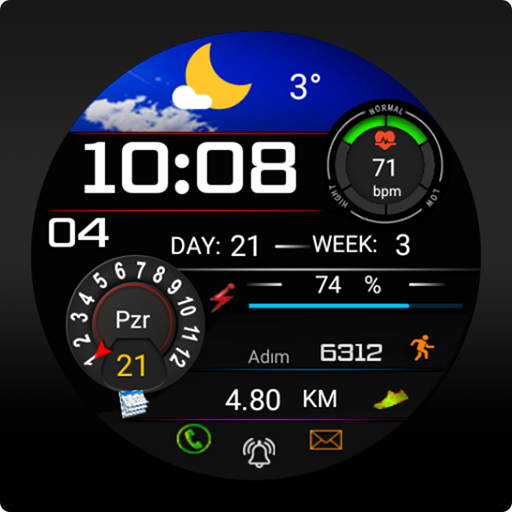 FS W254 Watch face logo