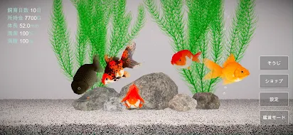 金魚育成アプリ ポケット金魚 Google Play のアプリ