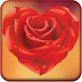 Rose Love Stickers icon