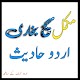 sahih bukhari in urdu Download on Windows