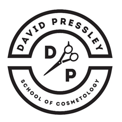 DP School logo